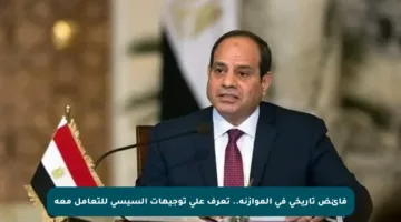 فائض تاريخي في الموازنة.. تعرف على توجيهات السيسي للتعامل معه